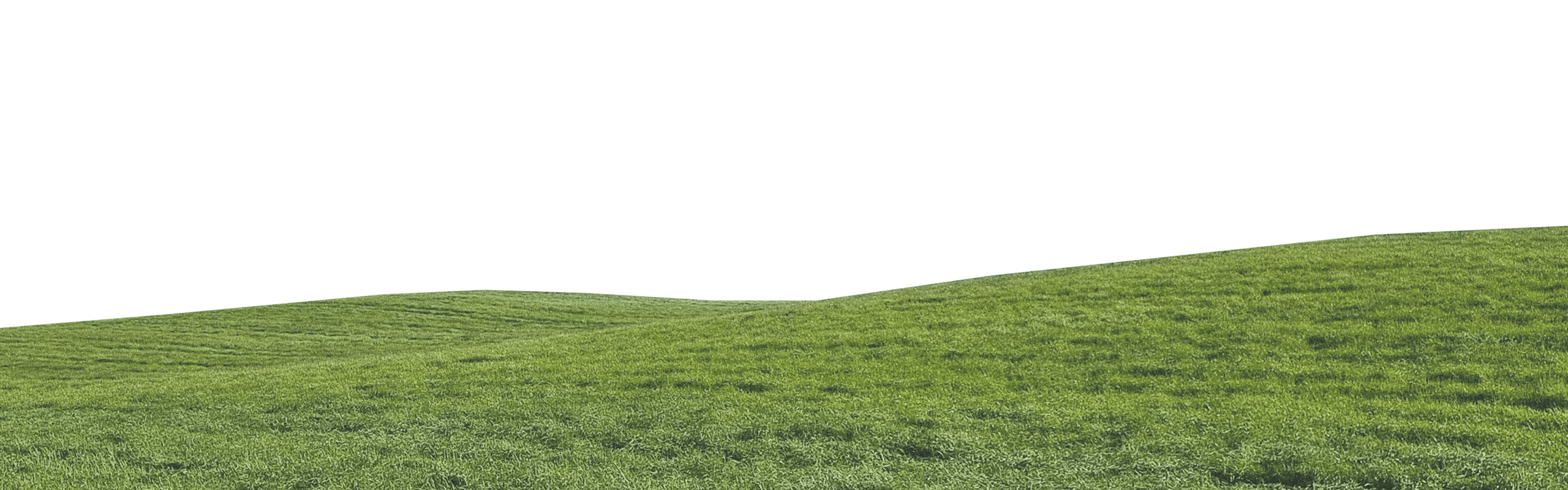 Rolling green hills with a black sky.