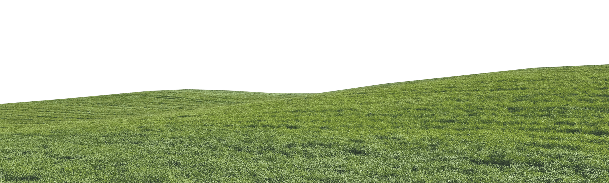 Grassy hill with a dark sky.