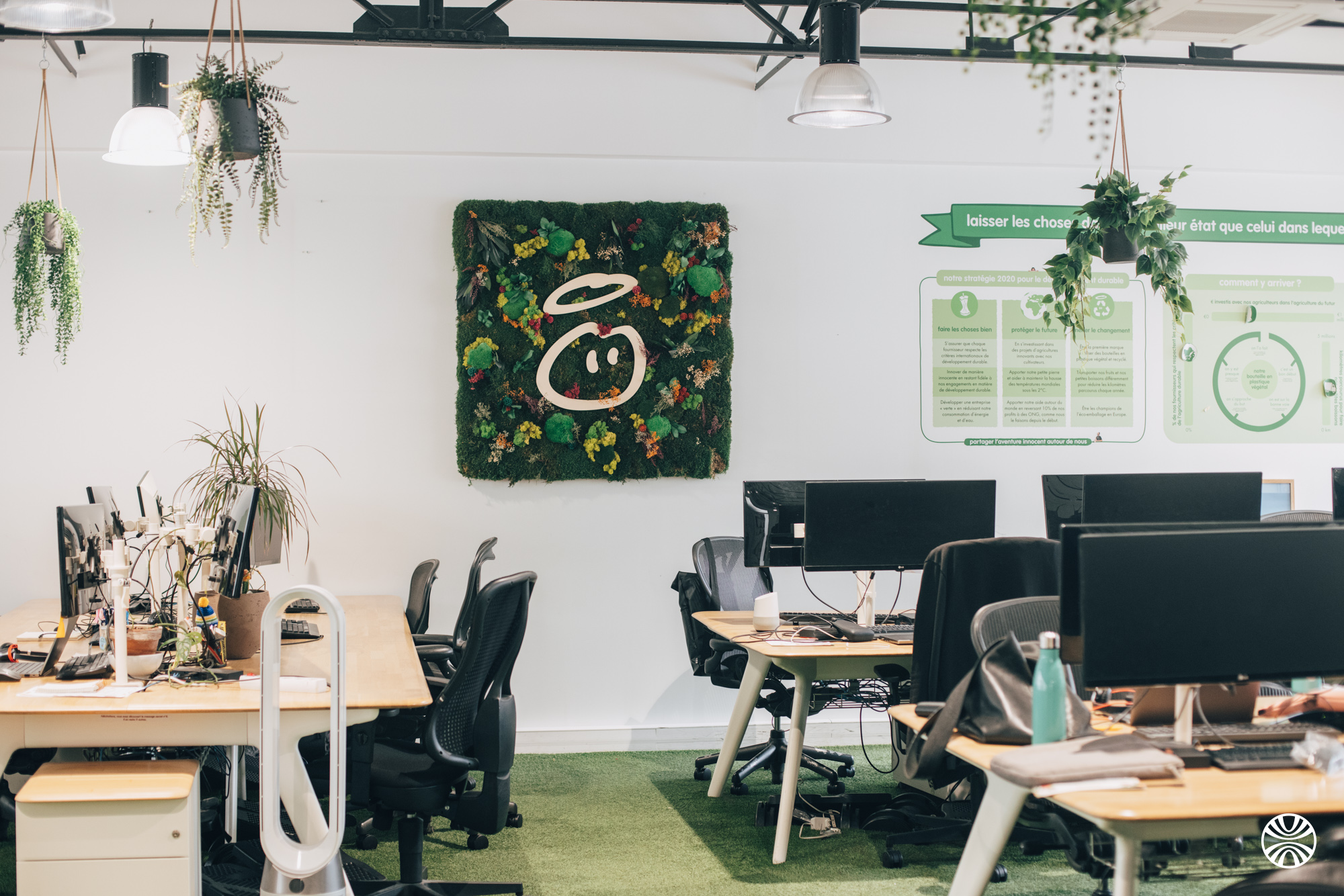 Workspace with desks, computers, and plants.
